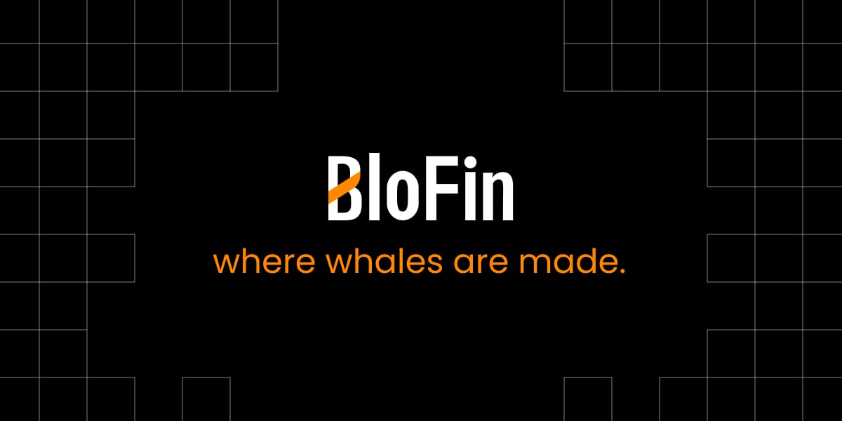 Blofin exchange login dashboard